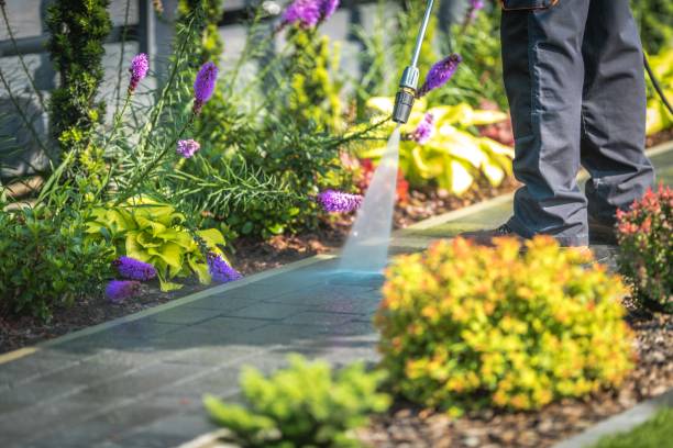 Best Dumpster Area Cleaning  in Carrollton, MO